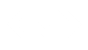 Logo NS